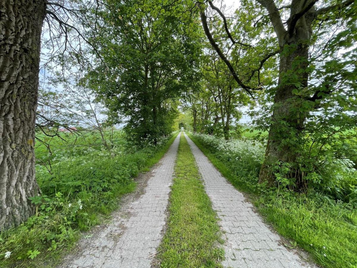 Mooi Stuv , Maisonettenwohnung , Gulfhof , Kachelofen Норден Екстер'єр фото